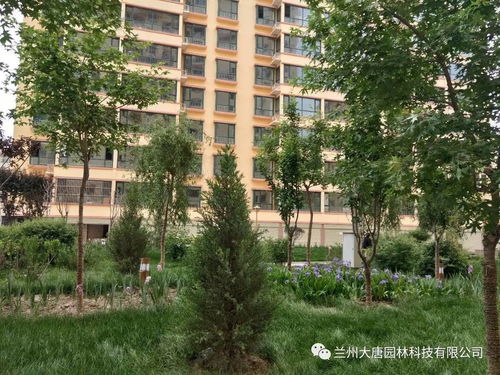 臨洮怡康苑住宅小區(qū)園林景觀綠化工程