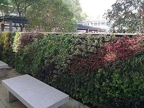 園林綠化工程施工五大細節(jié) 園林人必備