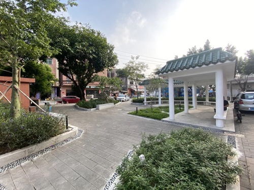 厚街鎮積極推進園林綠化品質提升工程，5個口袋公園建成落地