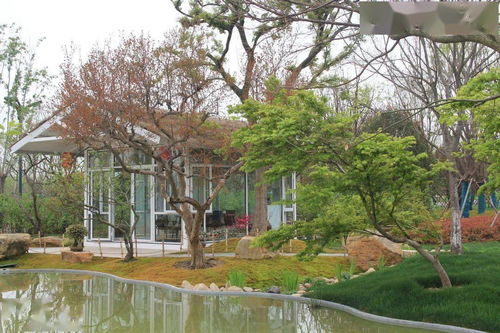 綠化行業(yè)王者之路 從園林施工到體育場(chǎng)地綠化全解析