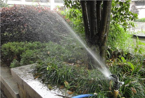 昆明考綠化工證及體育場(chǎng)地設(shè)施工程施工指南 難度、費(fèi)用與準(zhǔn)入解析