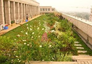 市園林綠化局檢查我區(qū)屋頂綠化工程，助力城市生態(tài)建設(shè)